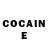 COCAIN FishScale Brave Cat
