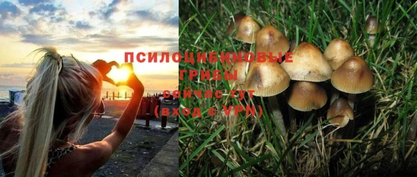 mdma Карталы