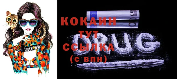 дживик Абаза