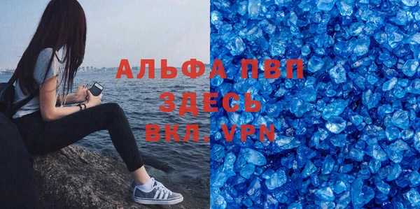 гашик Карпинск